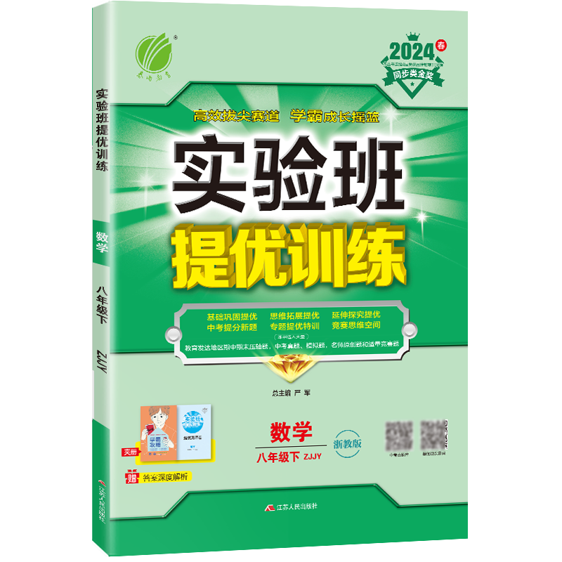 实验班提优训练 八年级数学（下） 浙教版 2024年春新版