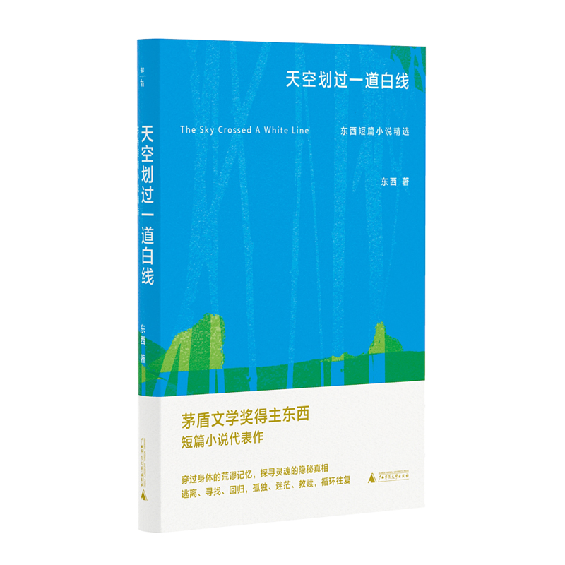天空划过一道白线：东西短篇小说精选