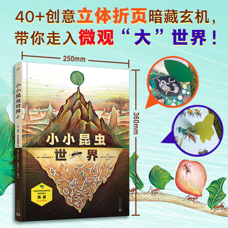 小小昆虫世界(精装·手工书)