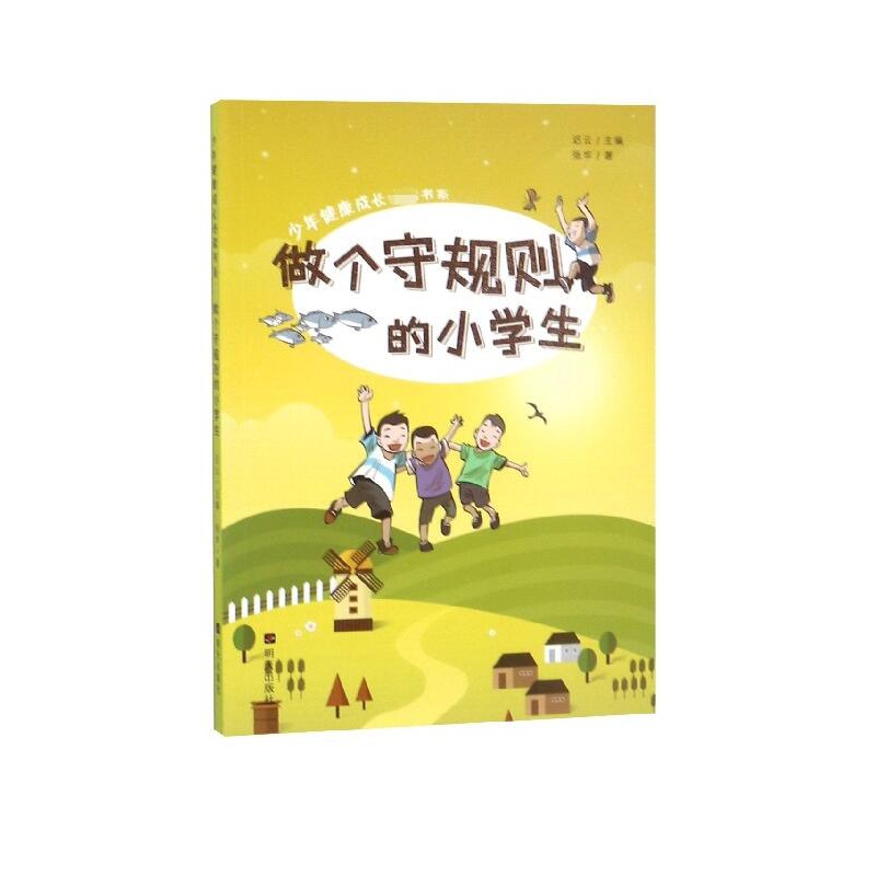 做个守规则的小学生/少年健康成长必读书系
