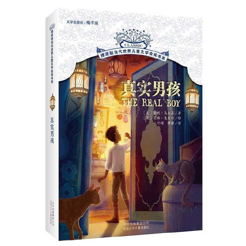 真实男孩/摆渡船当代世界儿童文学金奖书系