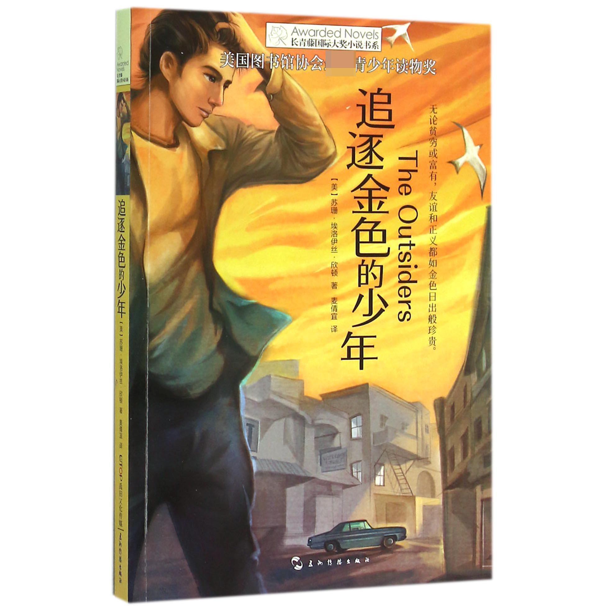 追逐金色的少年/长青藤国际大奖小说书系