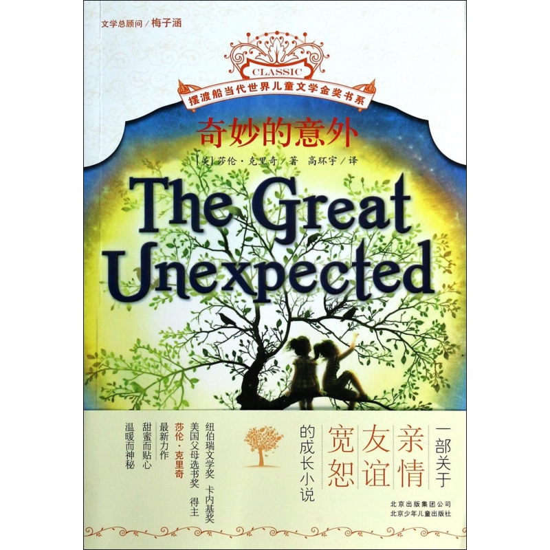 奇妙的意外/摆渡船当代世界儿童文学金奖书系