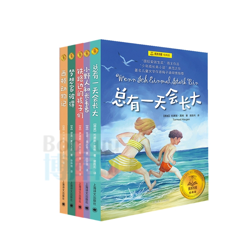 总有一天会长大 夏洛书屋经典版共5册