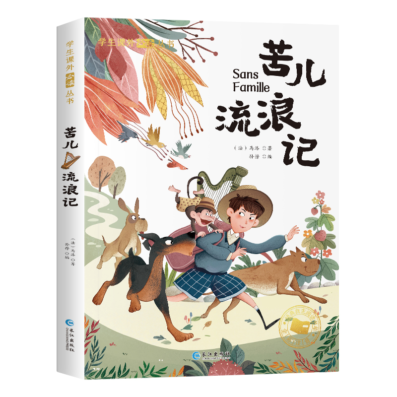 学生课外阅读丛书-苦儿流浪记（彩图注音版）