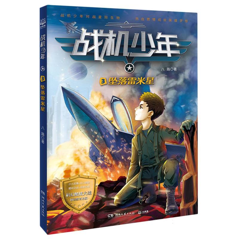 战机少年3:坠落雷米星