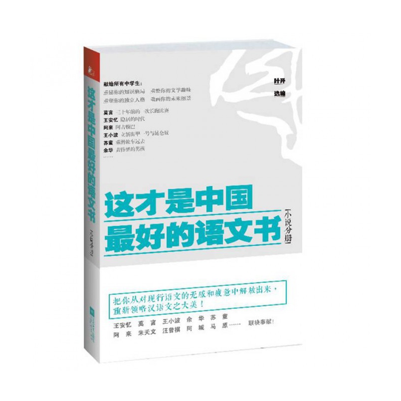 这才是中国最好的语文书(小说分册)