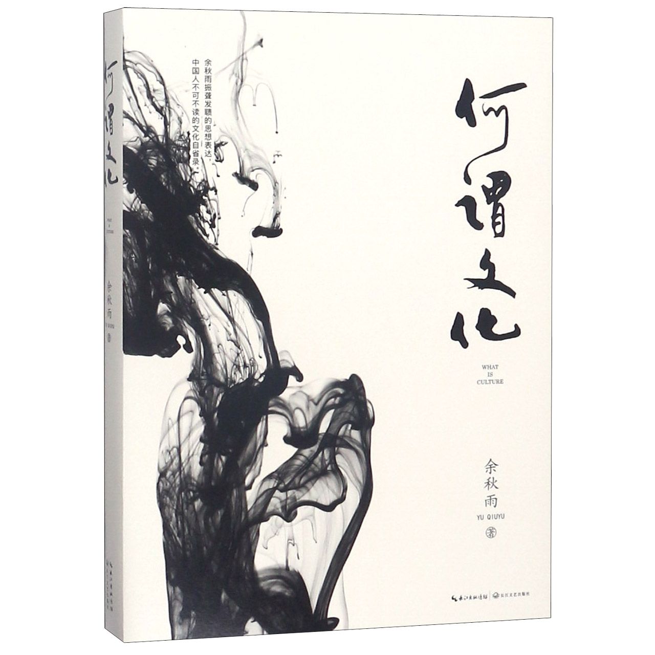 何谓文化
