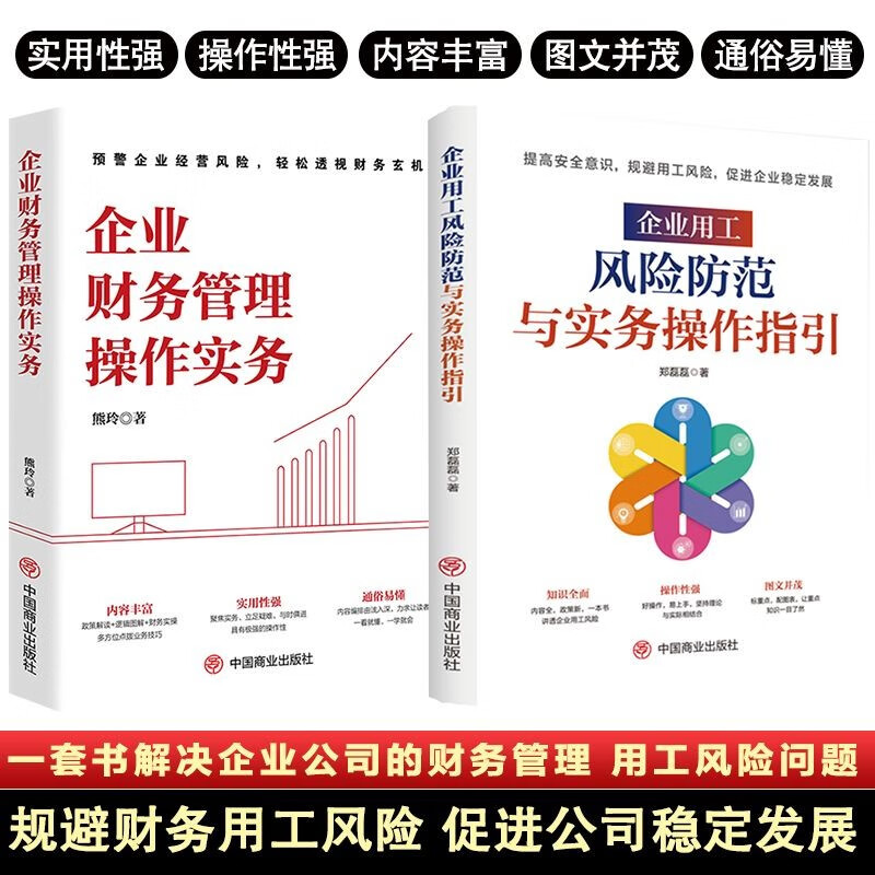 企业财务及劳务管理2册 企业财务管理操作实务企业用工风险防范与实务操作指引企业财务管理书创业指导书开公司指导企业财务管理会计书籍