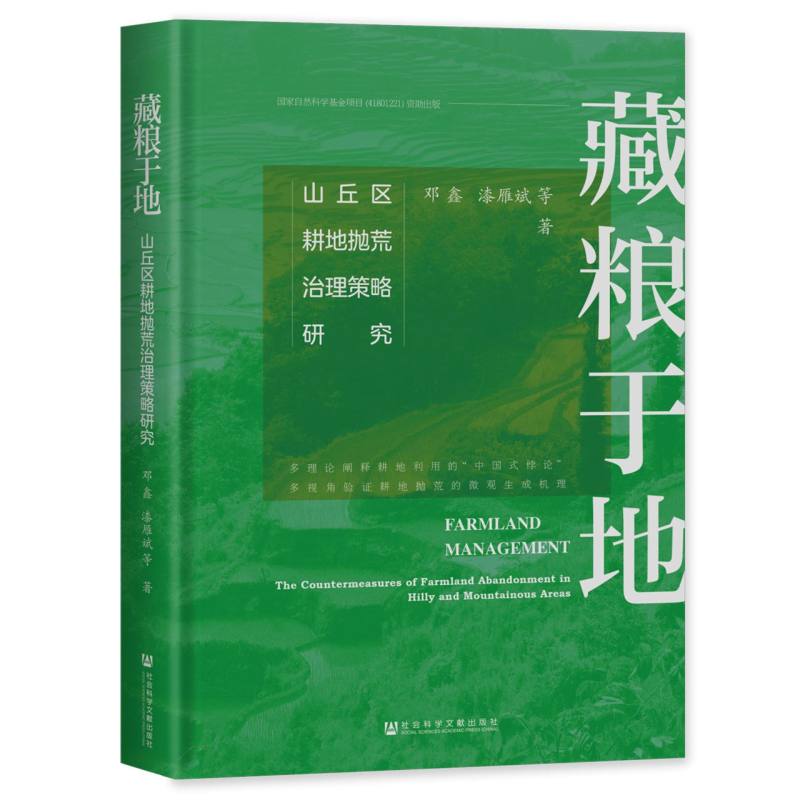 藏粮于地：山丘区耕地抛荒治理策略研究