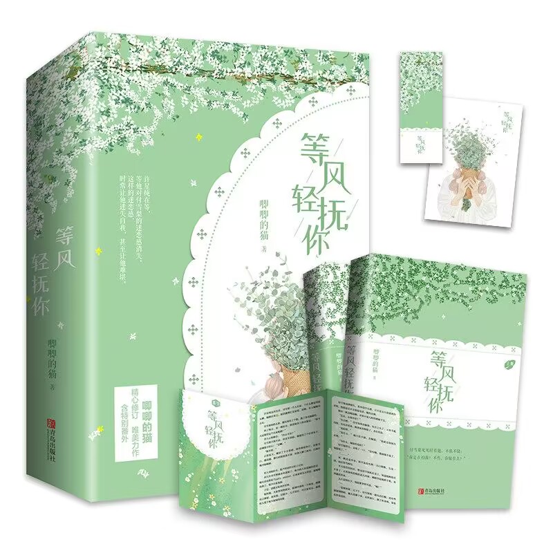 等风轻抚你  飞机盒