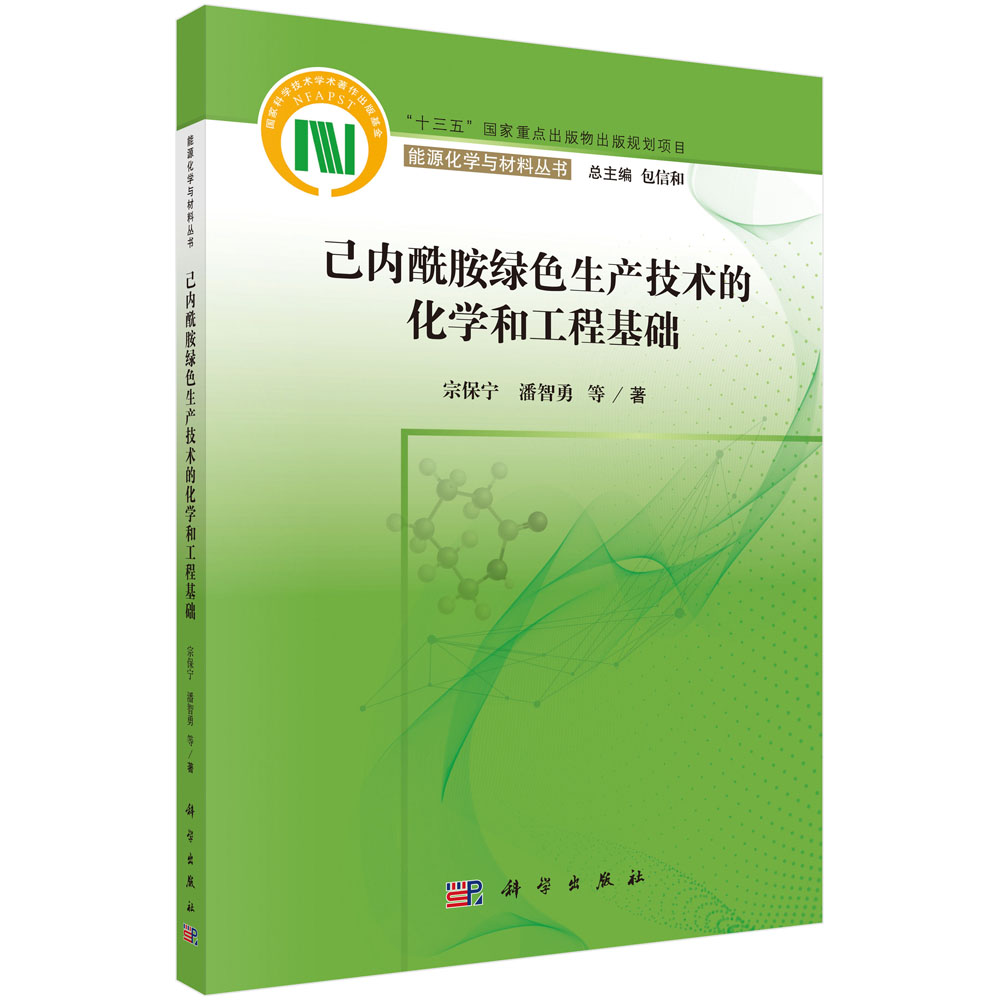 己内酰胺绿色生产技术的化学和工程基础/能源化学与材料丛书