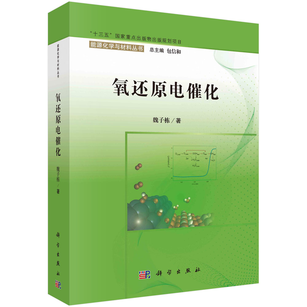 氧还原电催化/能源化学与材料丛书
