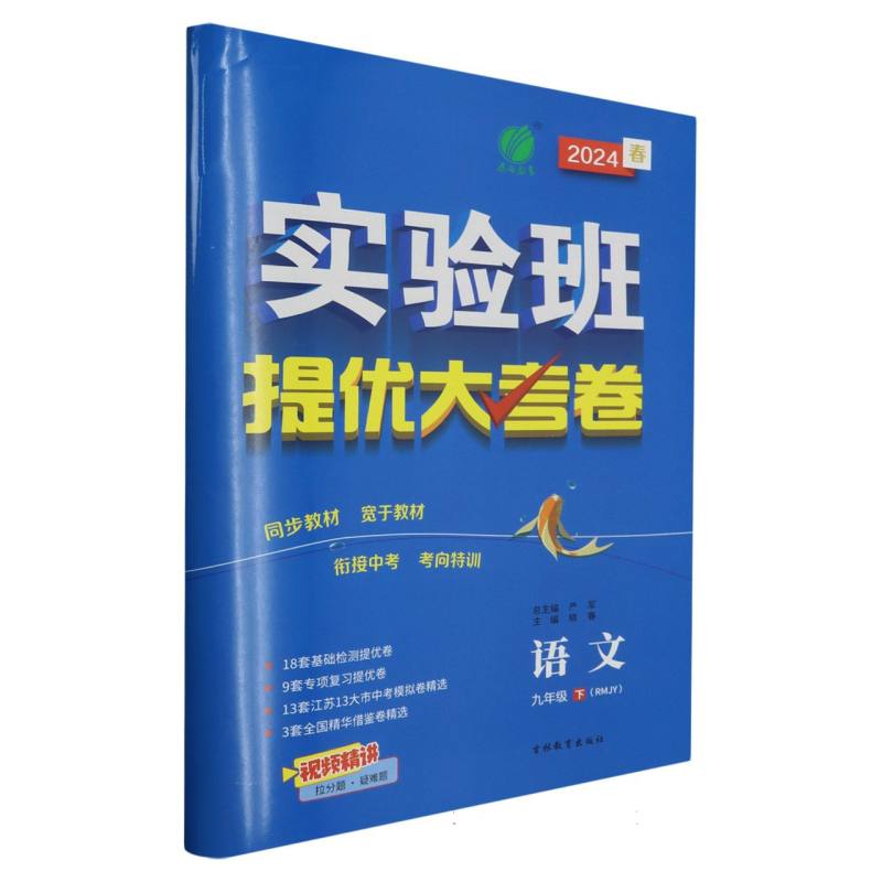 实验班提优大考卷九年级语文初中下人教版