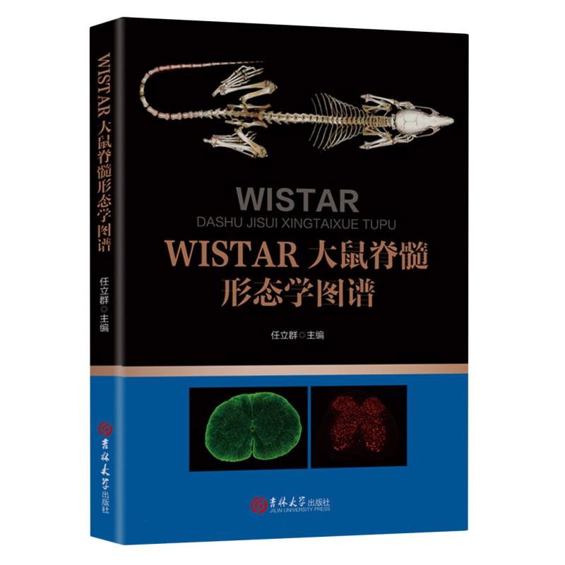 WISTAR大鼠的脊髓形态学图谱