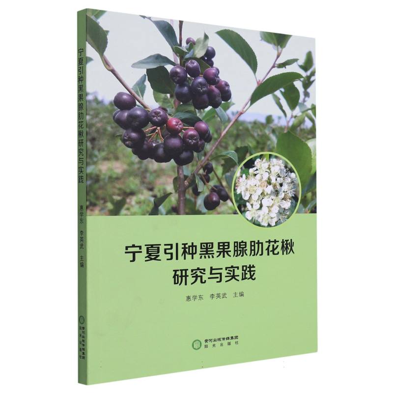 宁夏引种黑果腺肋花楸研究与实践