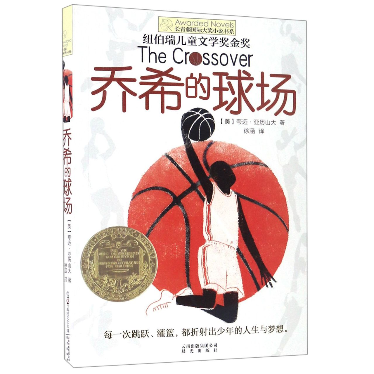 乔希的球场/长青藤国际大奖小说书系