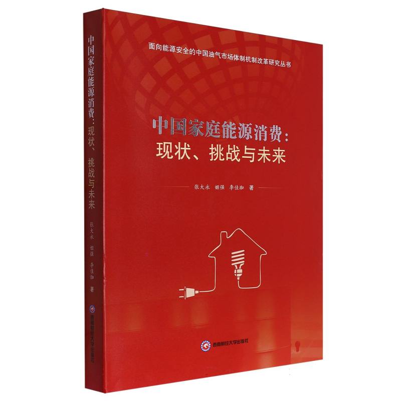 中国家庭能源消费：现状、挑战与未来