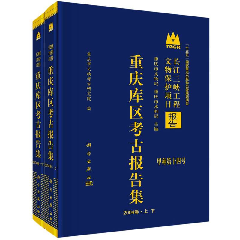 重庆库区考古报告集(2004卷上下)/长江三峡工程文物保护项目报告