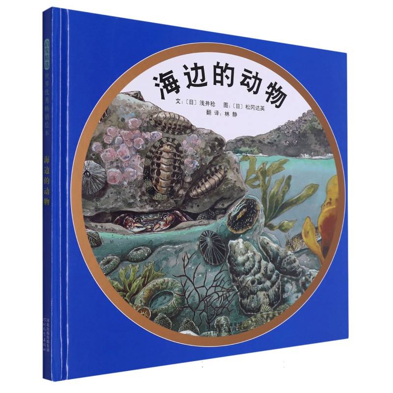 海边的动物(新)
