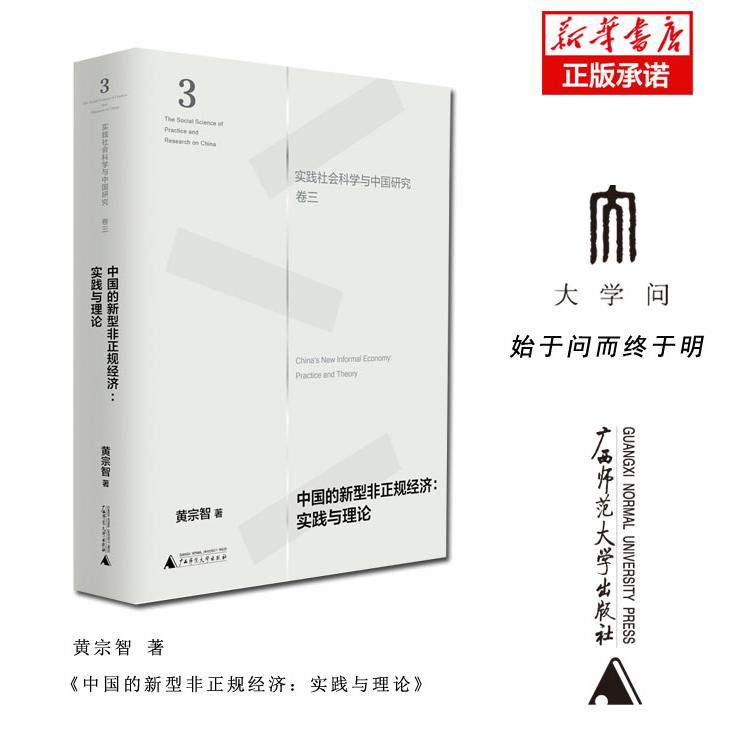 中国的新型非正规经济--实践与理论(精)/实践社会科学与中国研究