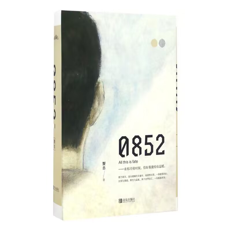 0852（上下） 特签飞机盒