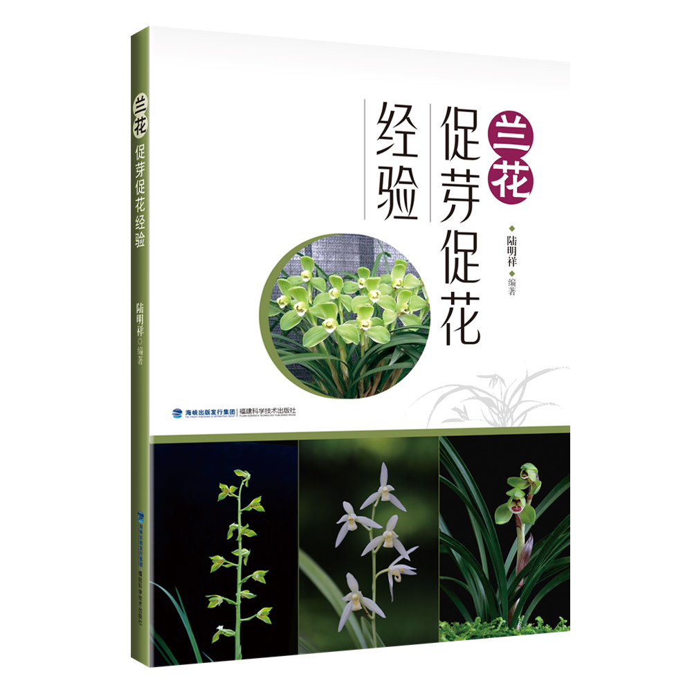 兰花促芽促花经验