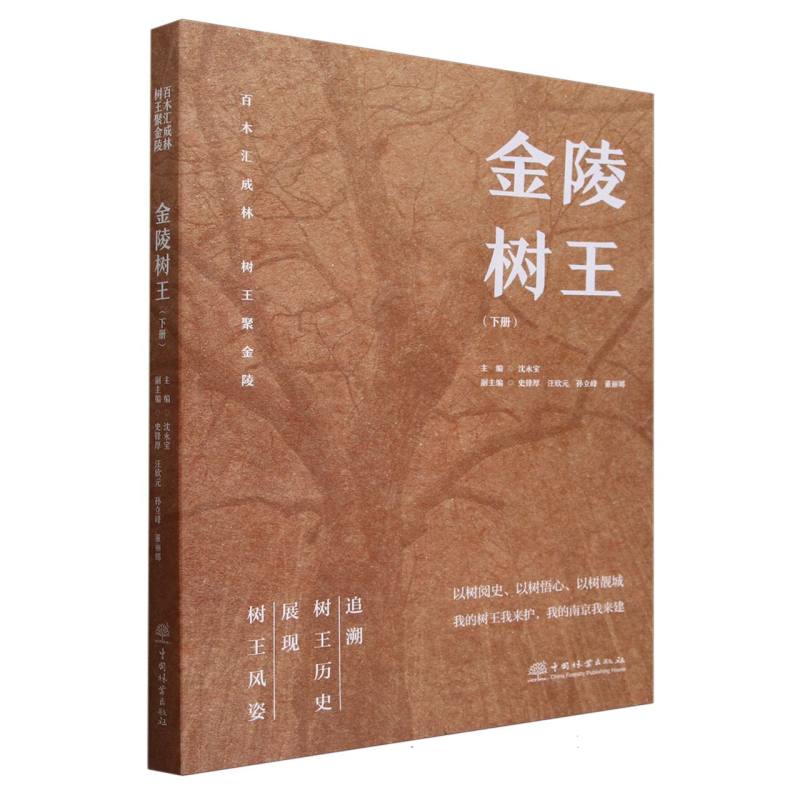金陵树王（下）