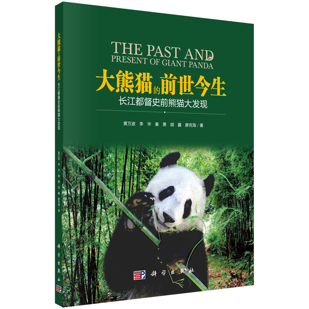 大熊猫的前世今生（长江都督史前熊猫大发现）