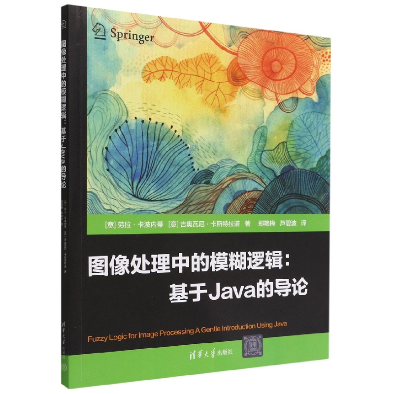 图像处理中的模糊逻辑--基于Java的导论