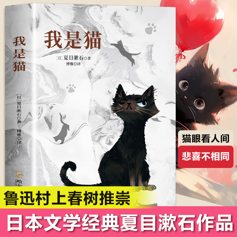 我是猫