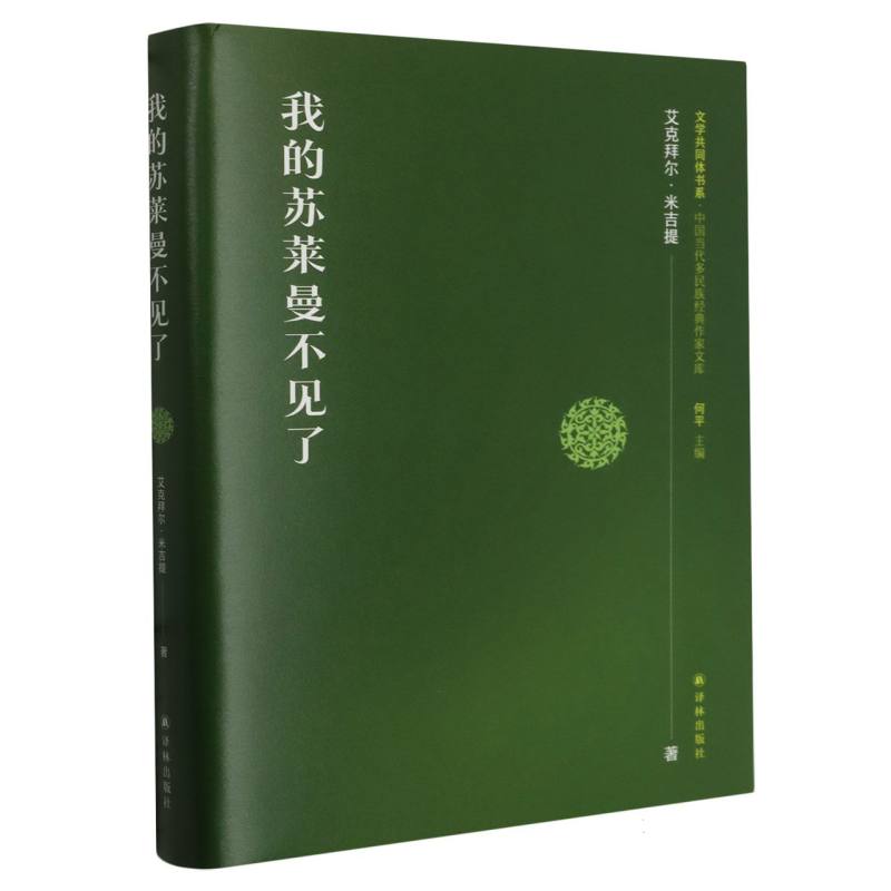 文学共同体书系:我的苏莱曼不见了