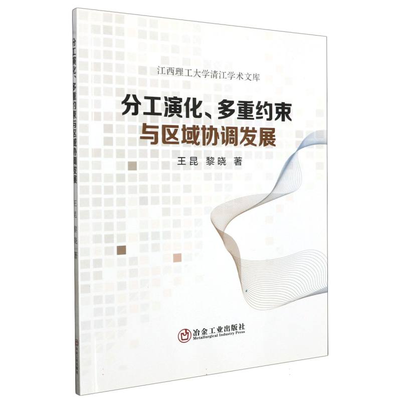 分工演化、多重约束与区域协调发展