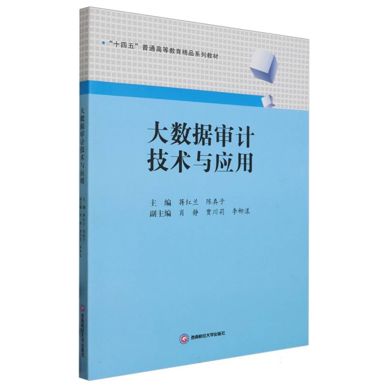 大数据审计技术与应用