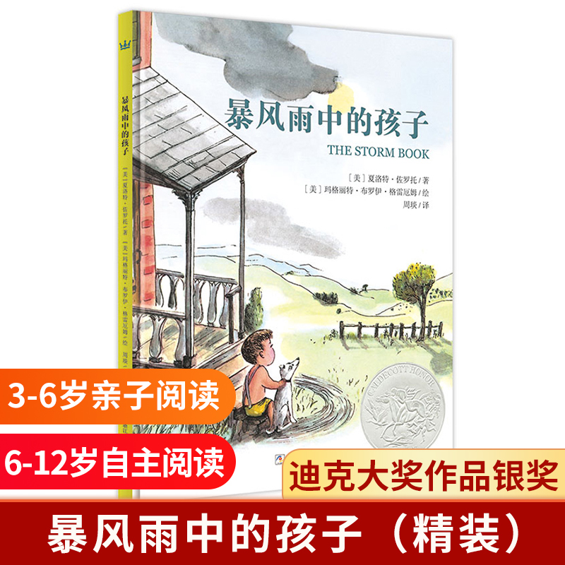暴风雨中的孩子(精)