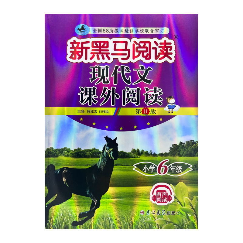 新黑马阅读丛书：现代文课外阅读．小学六年级(2023第11版)