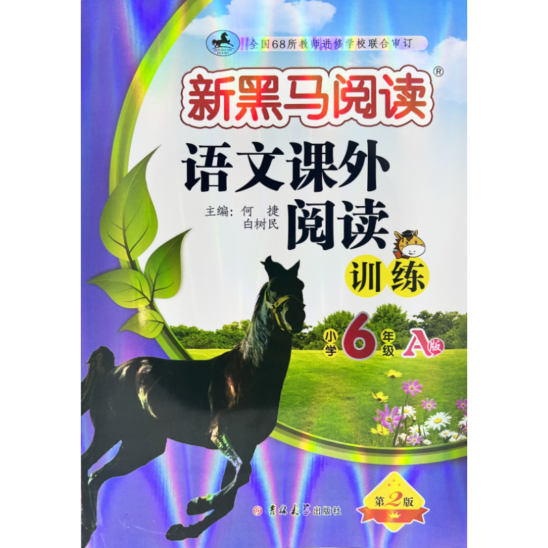 新黑马阅读丛书：语文课外阅读训练 小学六年级 A版(2023)