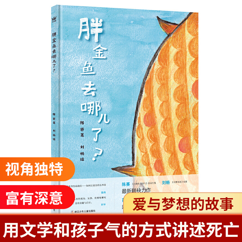 胖金鱼去哪了？