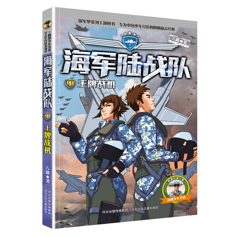 海军陆战队5王牌战机