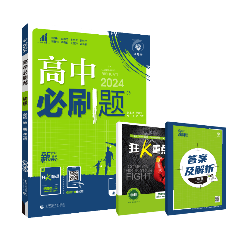 2024春高中必刷题 物理 必修 第三册 YJ