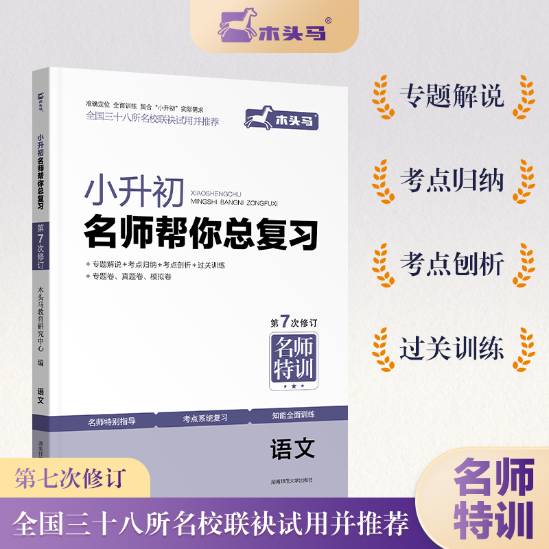 小升初名师帮你总复习语文7次修订