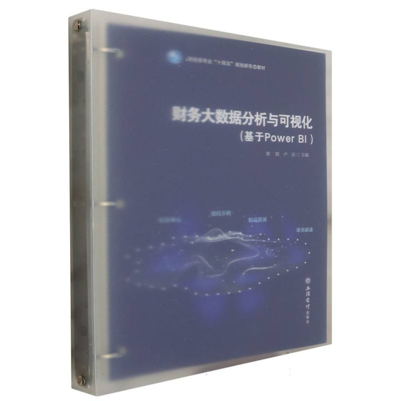 财务大数据分析与可视化(基于Power BI )