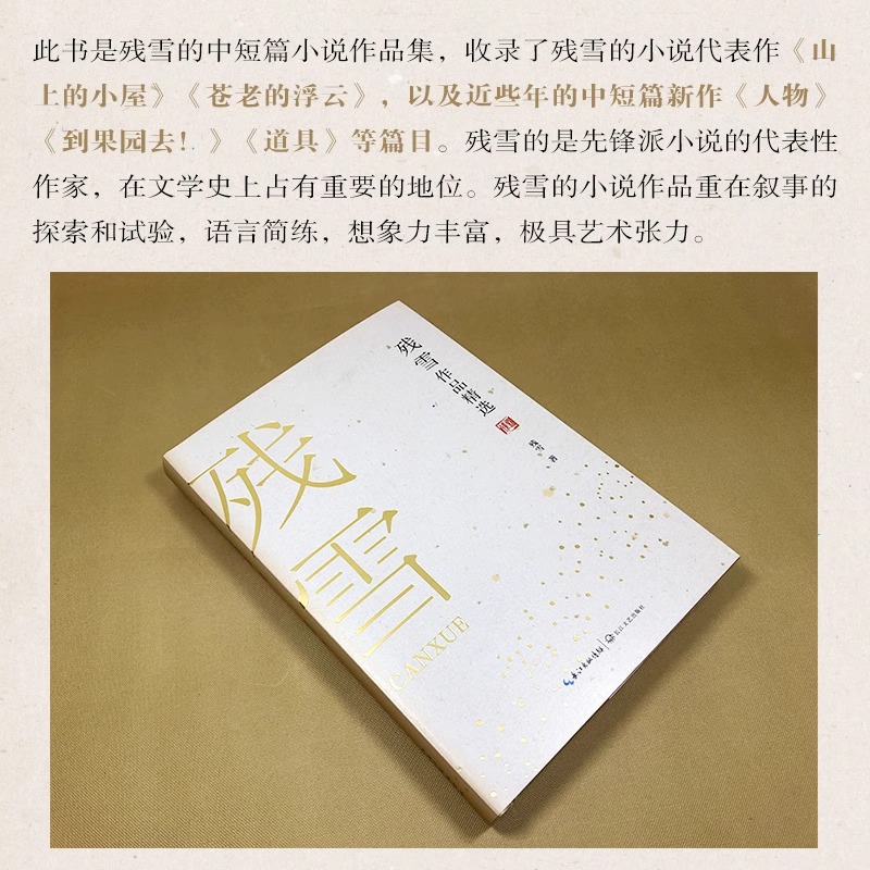 残雪作品精选