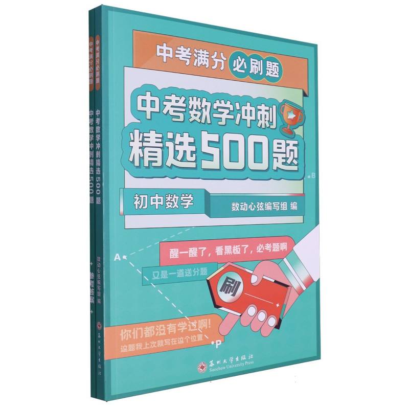 中考数学冲刺精选500题/中考满分必刷题