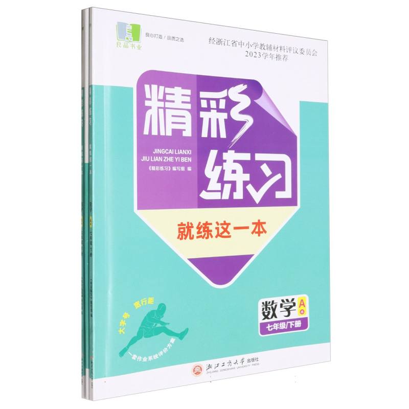 数学（7下共2册）/精彩练习就练这一本