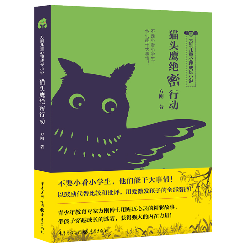 方刚儿童心理成长小说-猫头鹰绝密行动