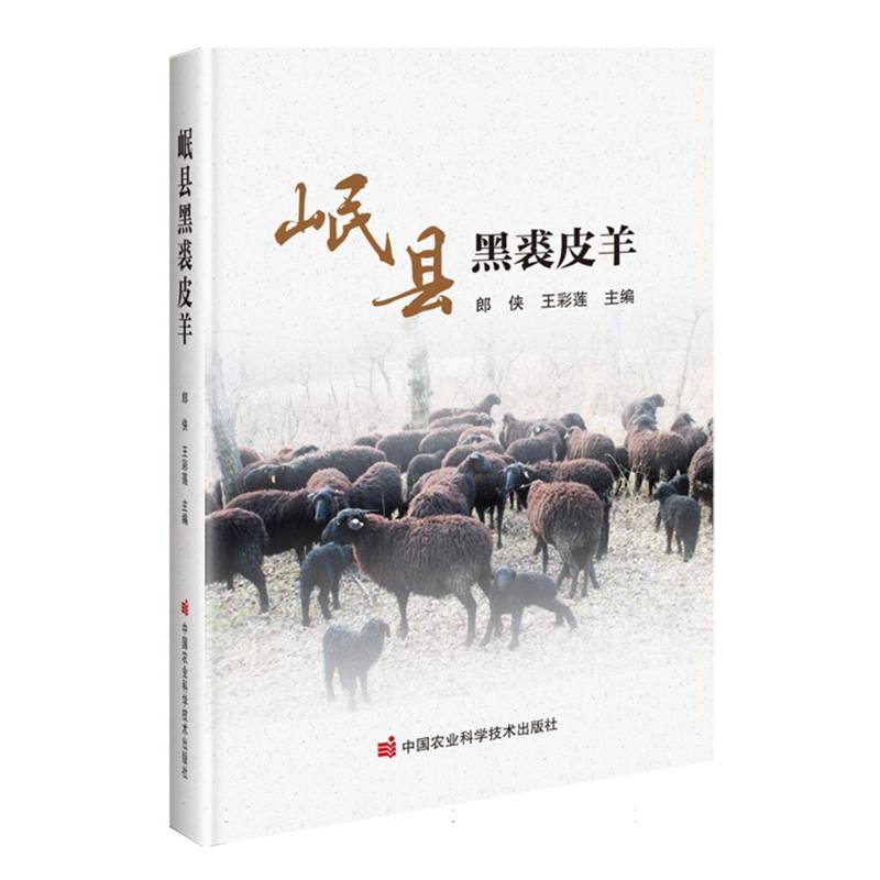 岷县黑裘皮羊
