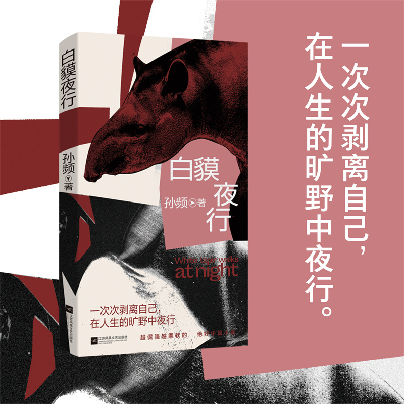 孙频中篇小说:白貘夜行