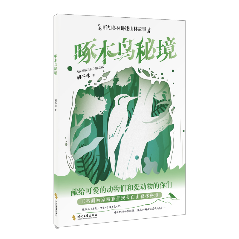 啄木鸟秘境