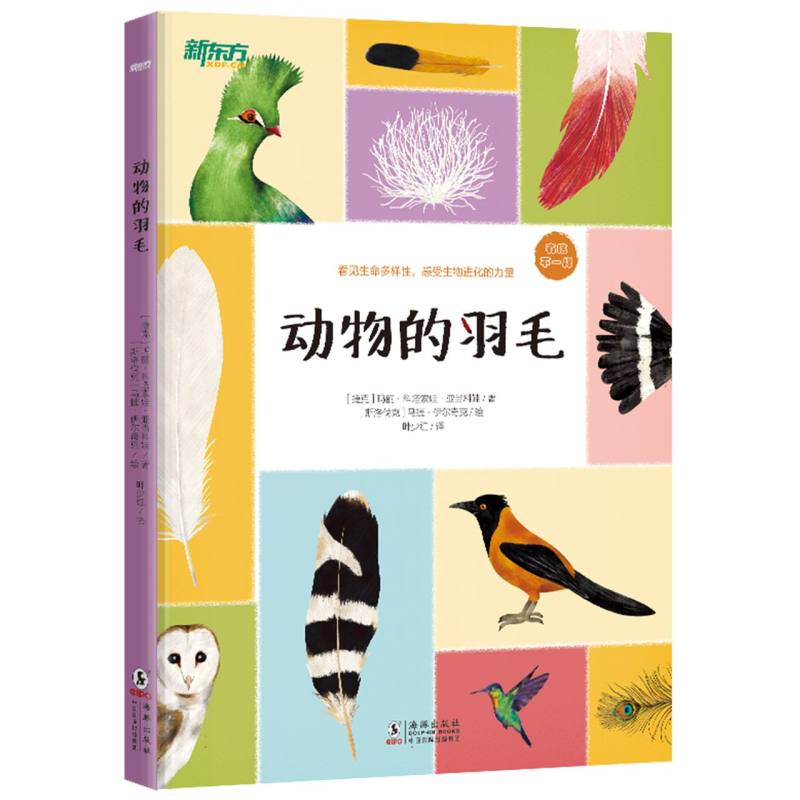 动物的羽毛
